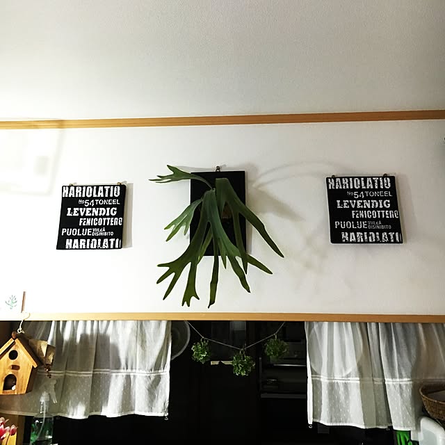 yuuさんの実例写真