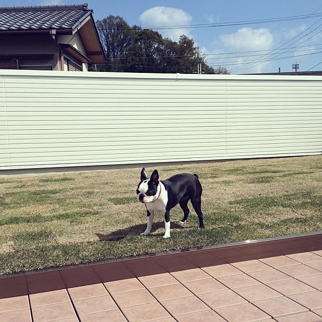 n_oさんの実例写真