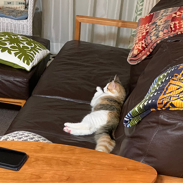 belleさんの実例写真