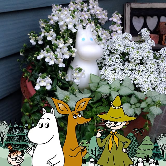 okeiさんの実例写真