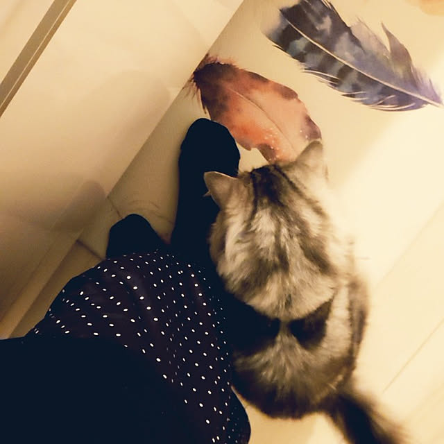 annetina374さんの実例写真