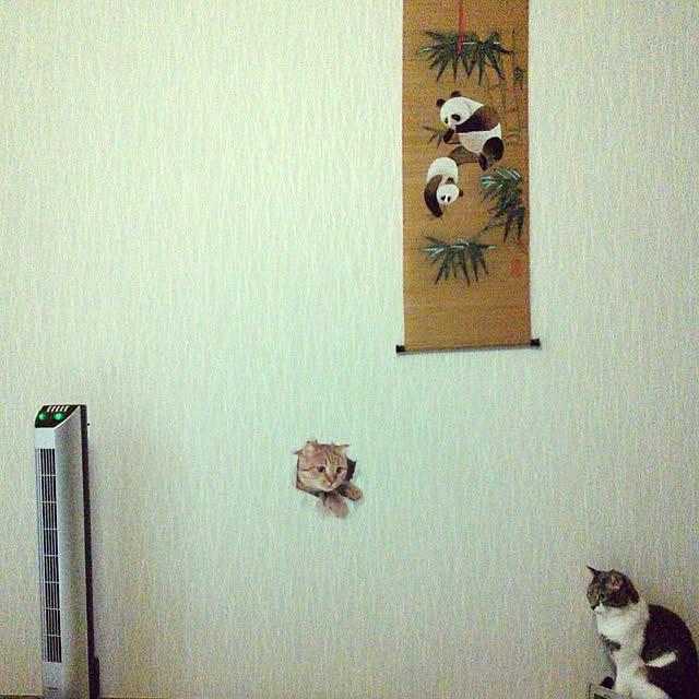 lovepandaさんの実例写真