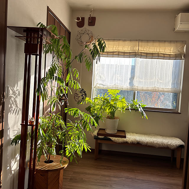 momoさんの実例写真