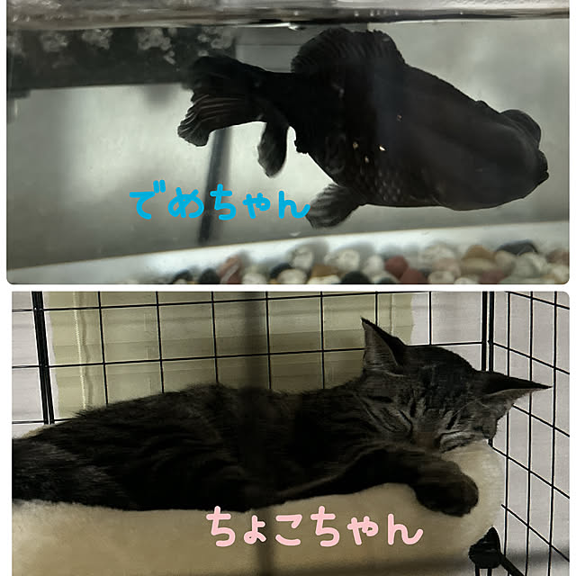 yunyumさんの部屋
