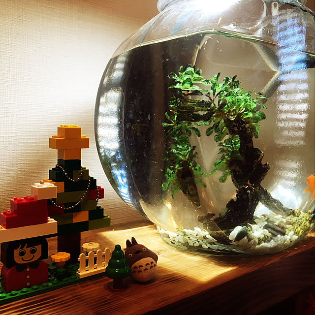 yorukaze1さんの実例写真