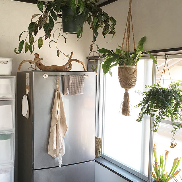 hira_muji_mihiさんの実例写真