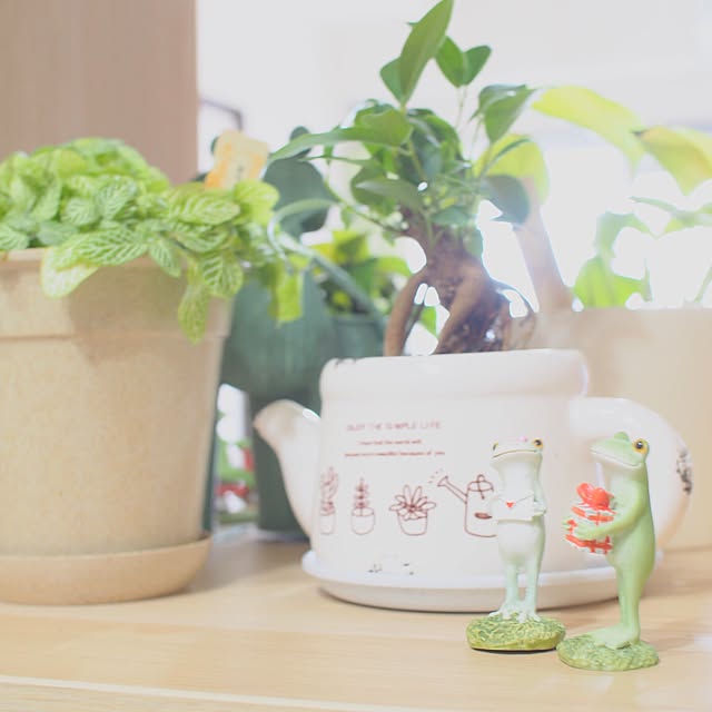 okz_homeさんの実例写真
