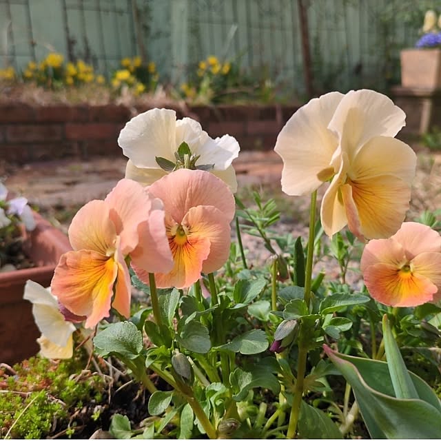 Rさんの実例写真