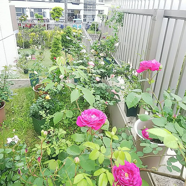 hiromimiさんの実例写真