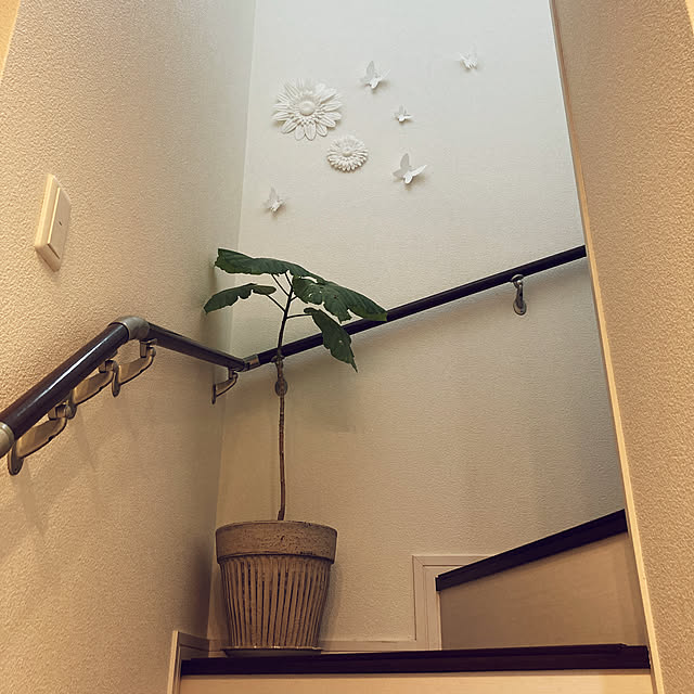m.coccoさんの実例写真