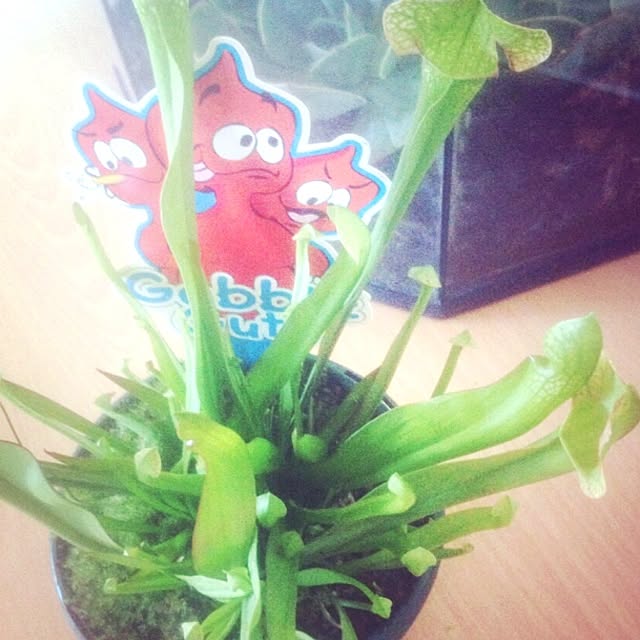 JMさんの実例写真