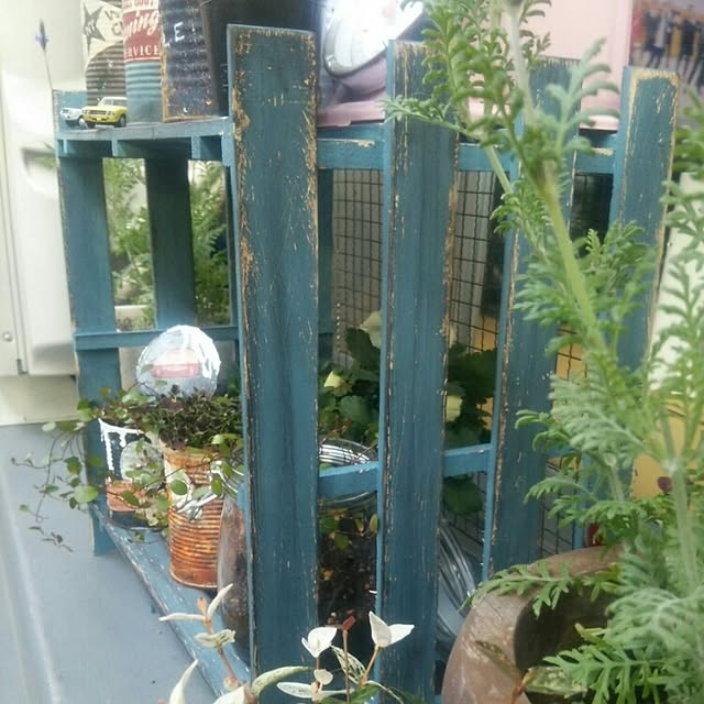Kana.xyzさんの実例写真