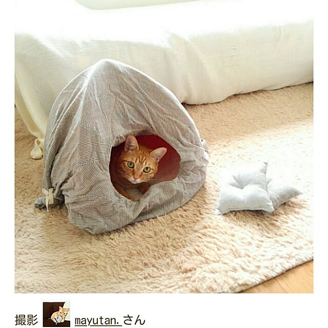 mayutan.さんの実例写真