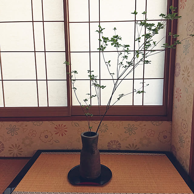 kakkaさんの実例写真