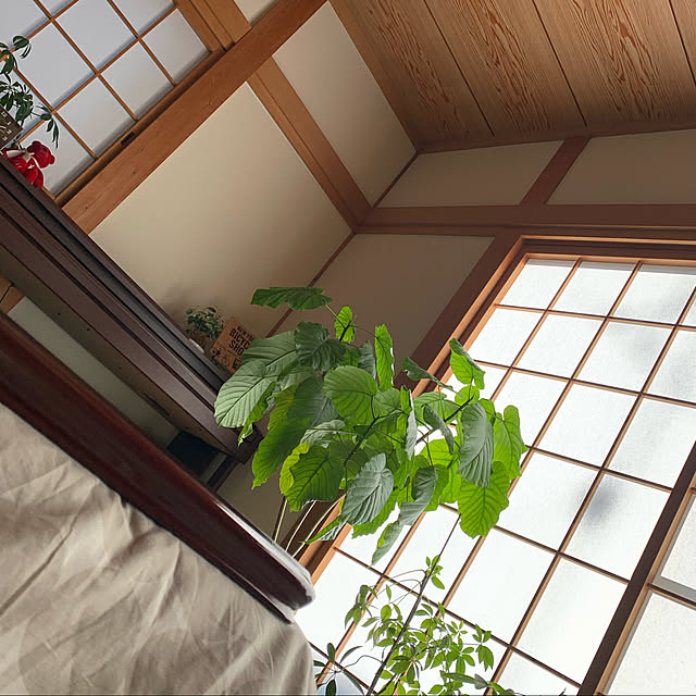 yu-ka-naさんの実例写真