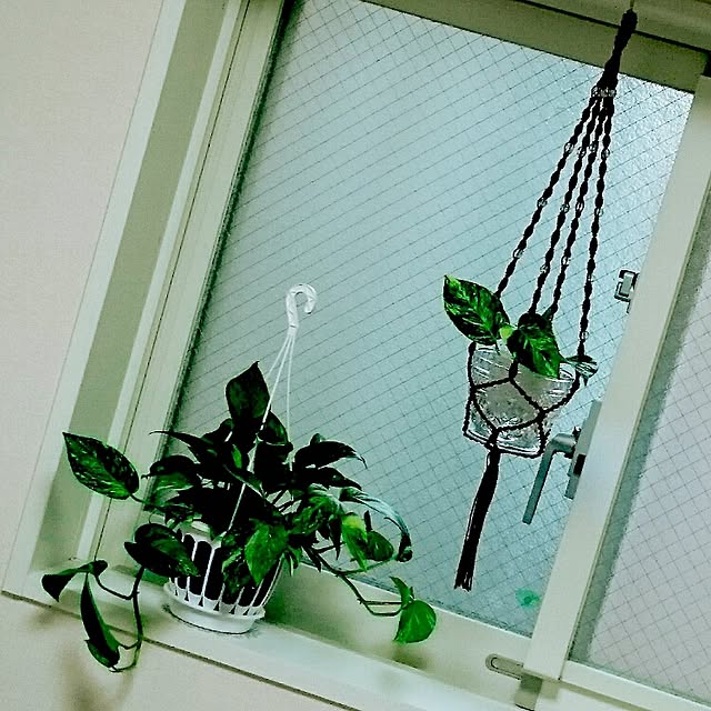 棚/観葉植物のインテリア実例 - 2016-07-19 10:32:46