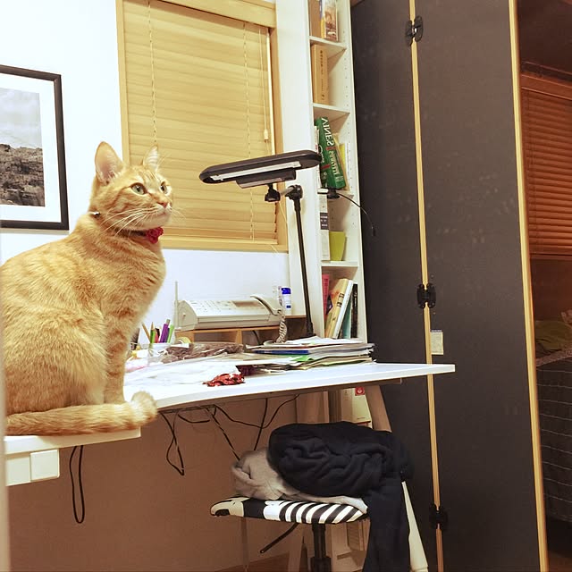 hanaさんの実例写真