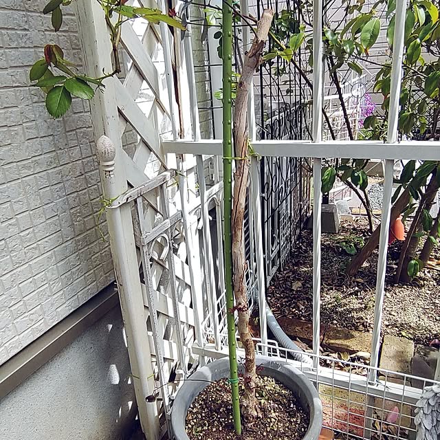 Bienvenueさんの部屋