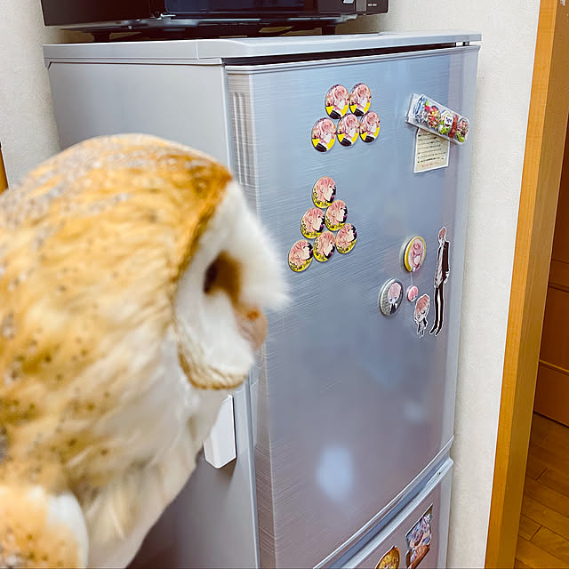mekaさんの実例写真