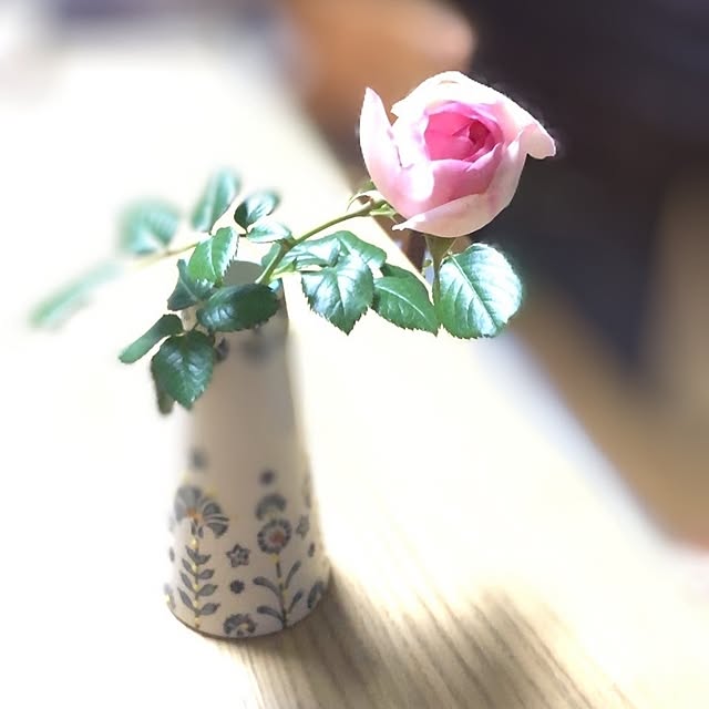 akaidarumaさんの部屋