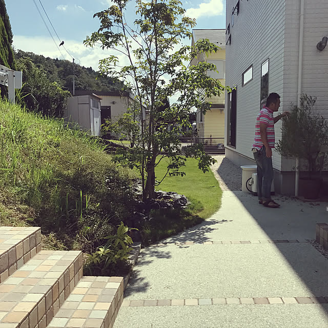 sayapiさんの実例写真