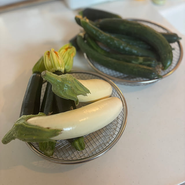 Minteaさんの部屋