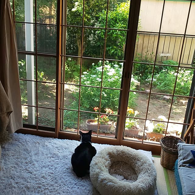 oseroさんの部屋