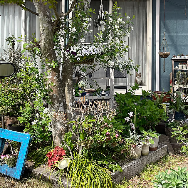 nobikoさんの部屋