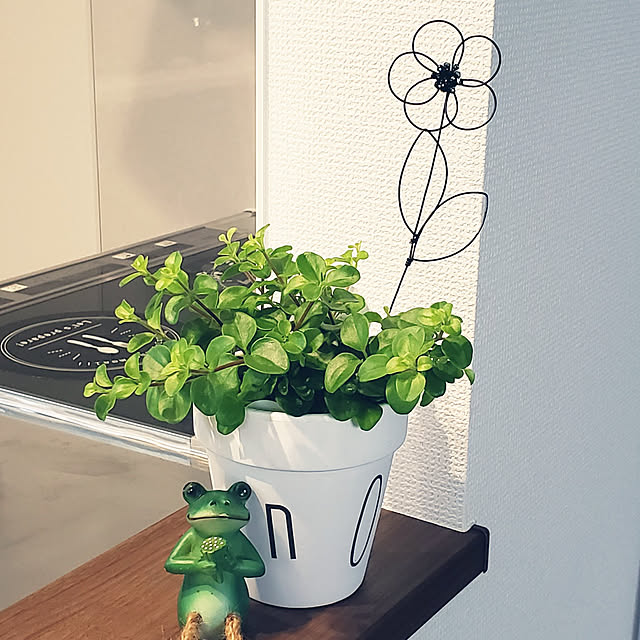 maple.0927さんの実例写真