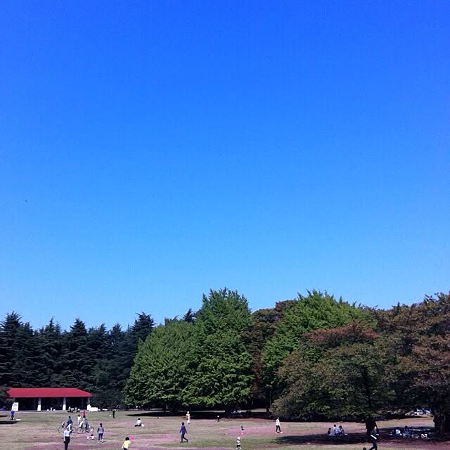 sakuramochiさんの実例写真