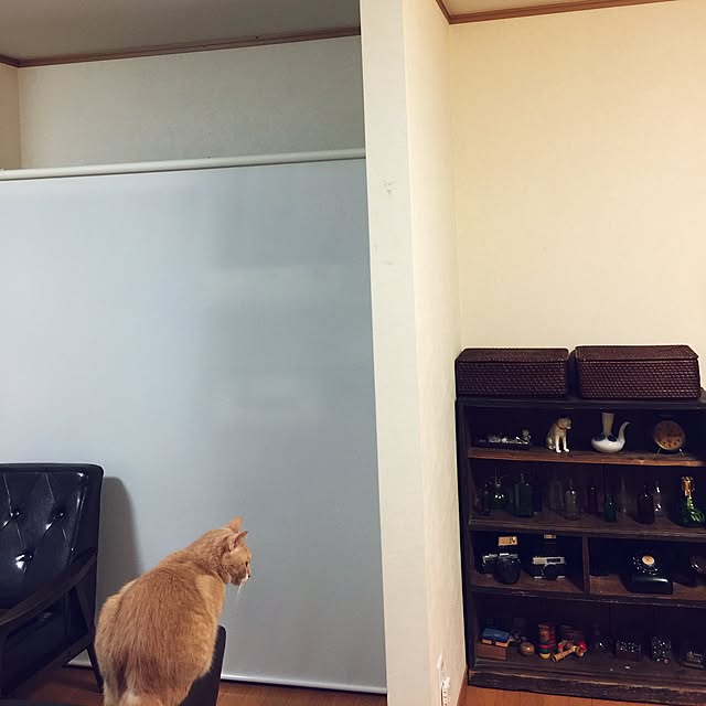 mikan161さんの実例写真