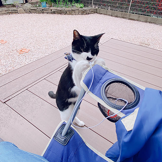 moolさんの実例写真