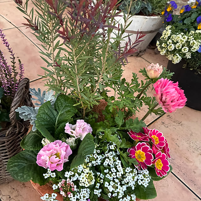 leepo5さんの部屋