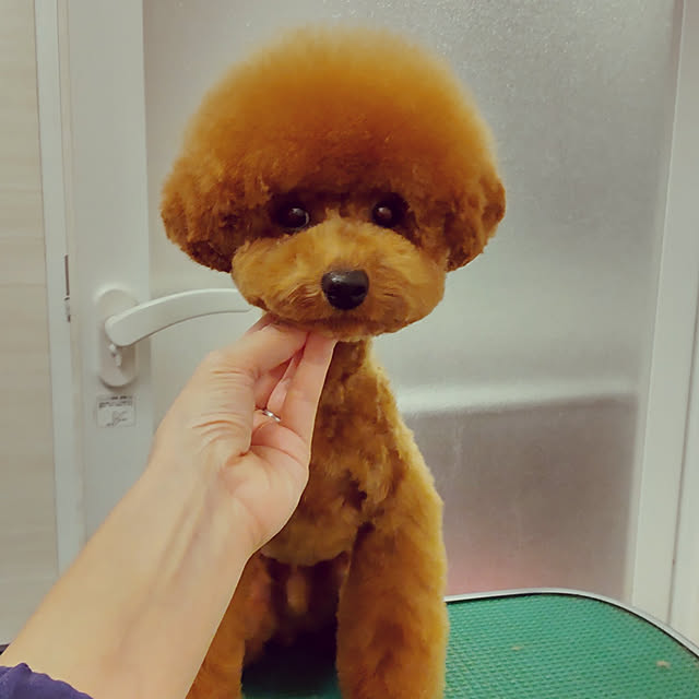 yuuさんの実例写真