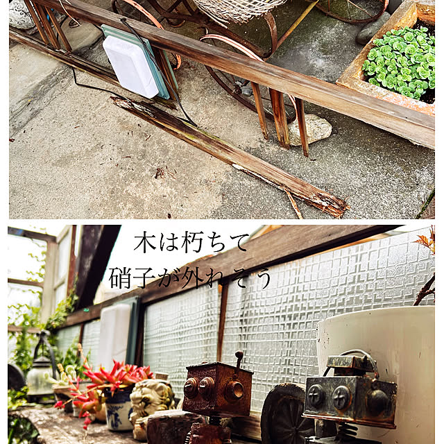 akaidarumaさんの部屋