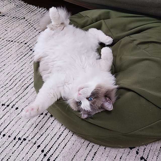 wakさんの実例写真