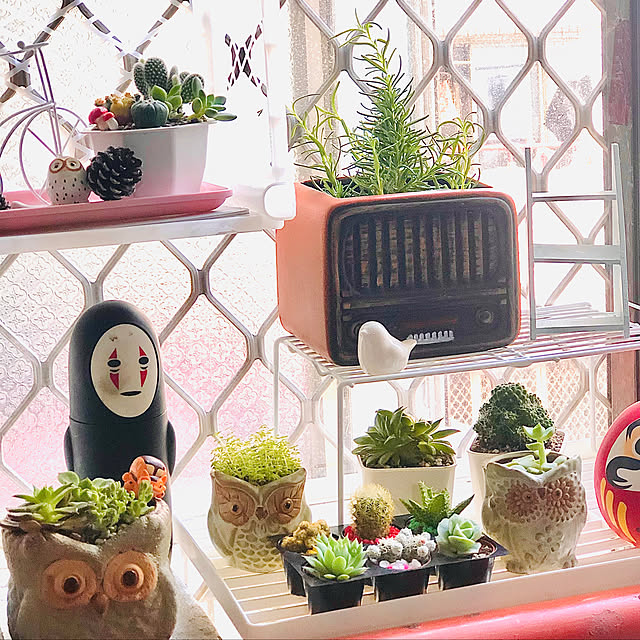 多肉植物/部屋全体のインテリア実例 - 2020-04-13 20:08:00