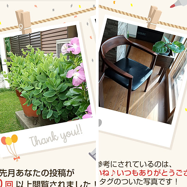 Renさんの実例写真