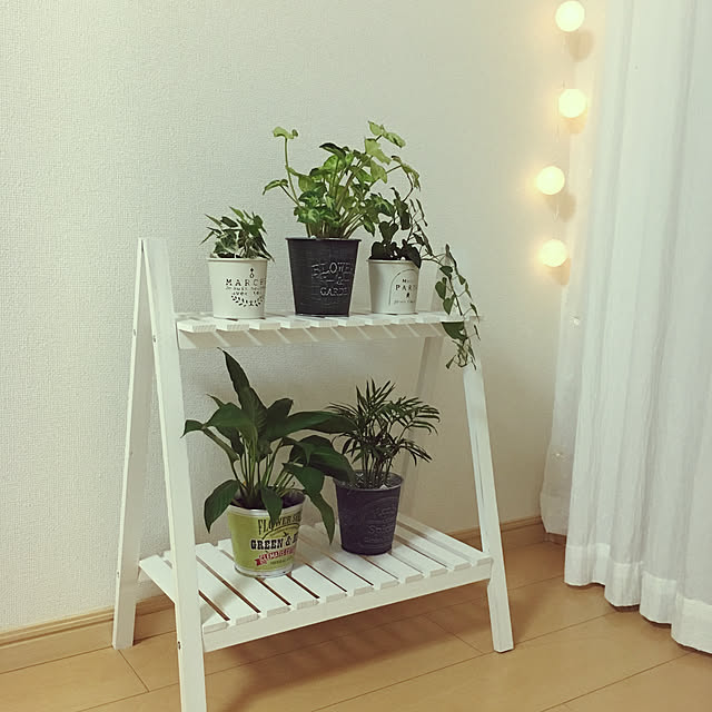 観葉植物/照明/3COINS/棚のインテリア実例 - 2021-02-02 17:48:21