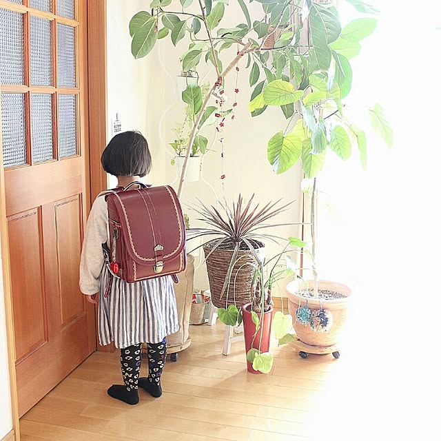 coKoさんの実例写真