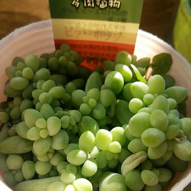 aiさんの実例写真