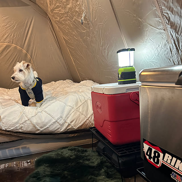 Fumiさんの部屋