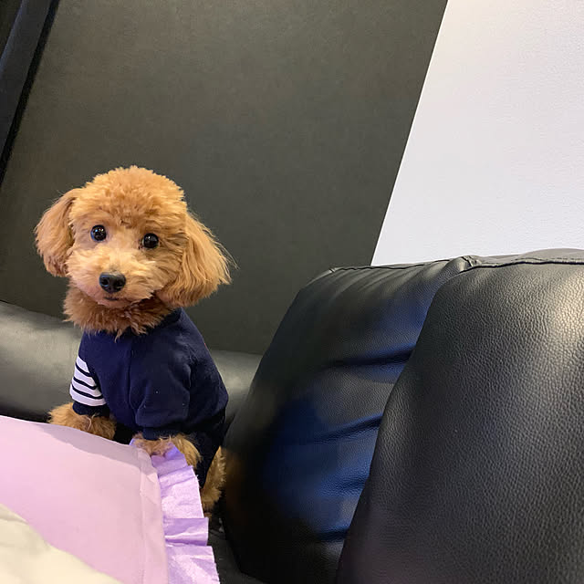 gulutoさんの実例写真