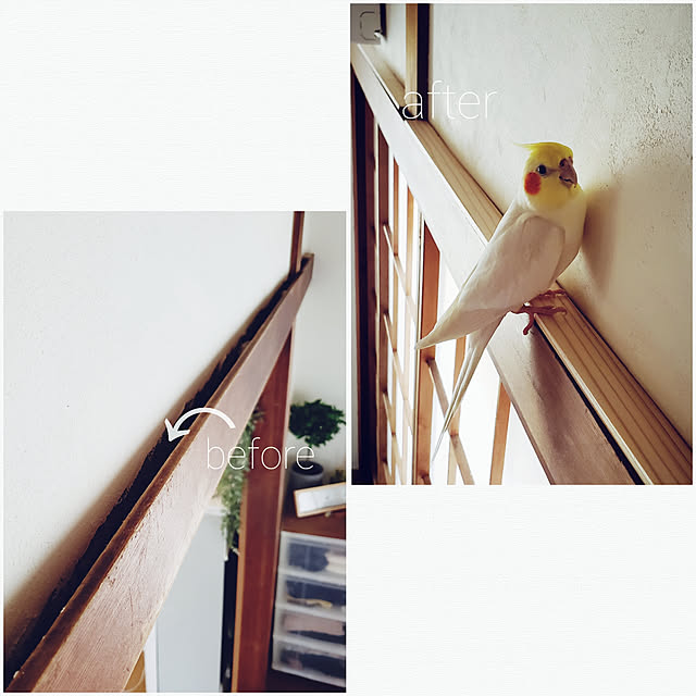 megggさんの実例写真