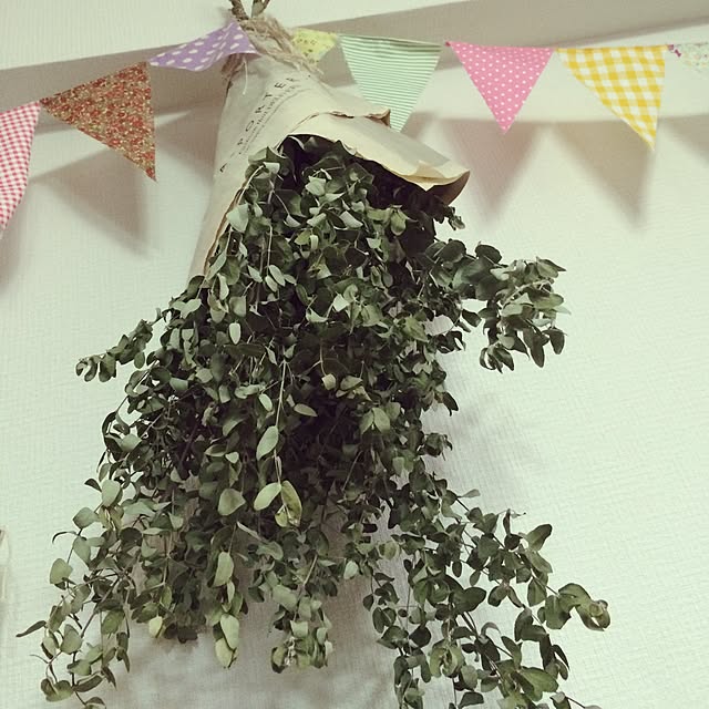 hanna-riさんの実例写真