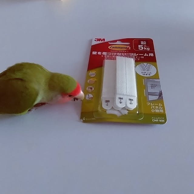 toratanさんの実例写真