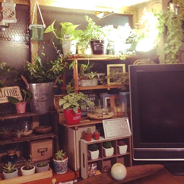 akoさんの実例写真