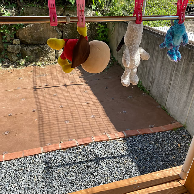 rikkaさんの実例写真