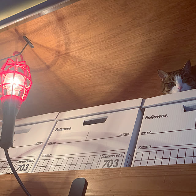 nmurataさんの実例写真