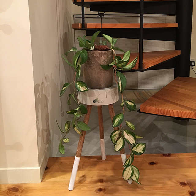 pitaさんの実例写真